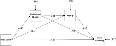 Serial Multiple Mediation of Professional Identity, and Psychological Capital in the Relationship Between Work-Related Stress and Work-Related Well-Being of ICU Nurses in China: A Cross-Sectional Questionnaire Survey